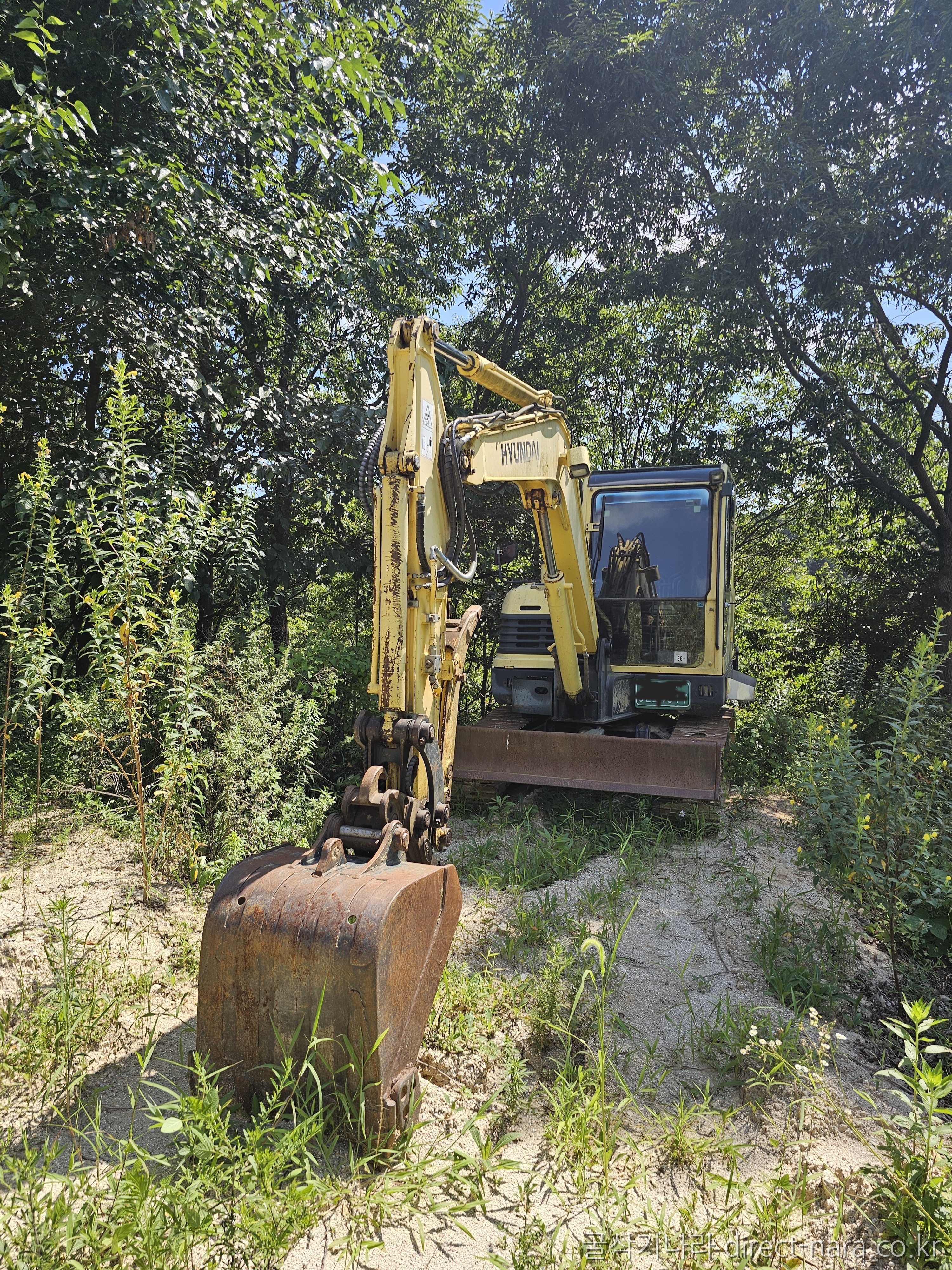 robex55