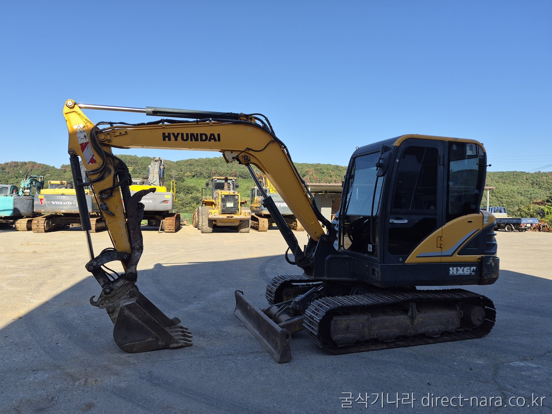 HX60호랑이집게