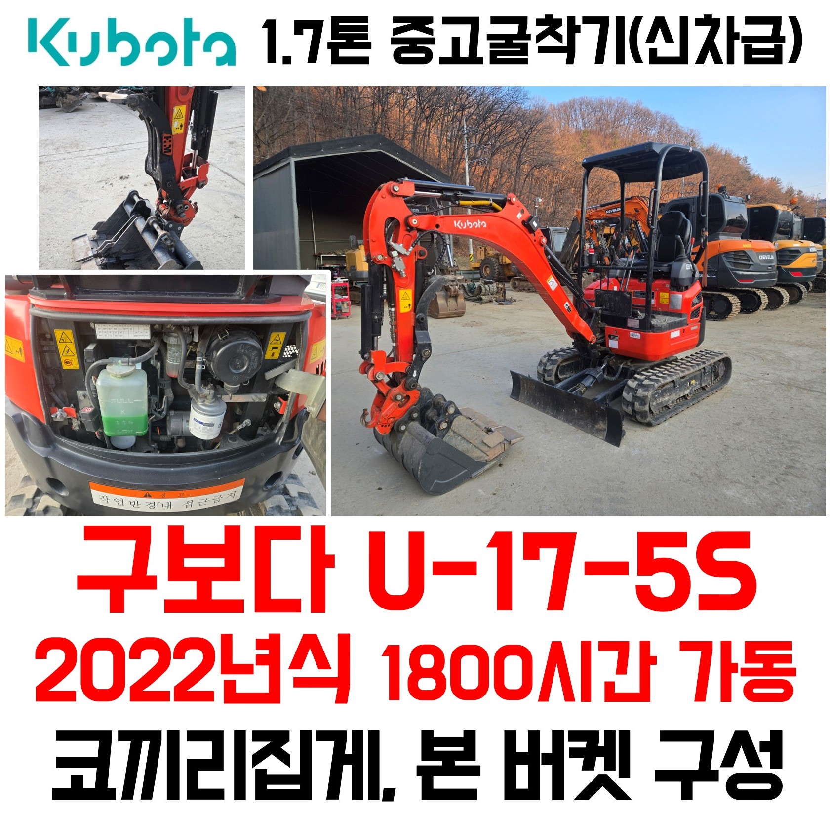 U17 코끼리집게 관리A급